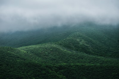 航空摄影的山和树
